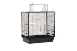 Beeztees Vogelkooi Fiona Open Zwart 70x40x80 Cm