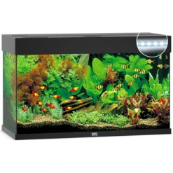 Juwel Aquarium Rio 125 Led 80x35x50 Cm - Aquaria - Zwart Ca. 125 L