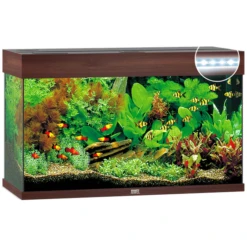 Juwel Aquarium Rio 125 Led 80x35x50 Cm - Aquaria - Donkerbruin Ca. 125 L