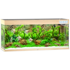 Juwel Aquarium Rio 240 Led 121x41x55 Cm - Aquaria - Licht Hout Ca. 240 L