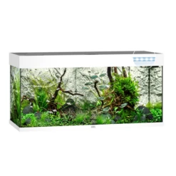Juwel Aquarium Rio 180 Led 101x41x50 Cm - Aquaria - Wit Ca. 180 L