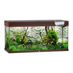 Juwel Aquarium Rio 180 Led 101x41x50 Cm - Aquaria - Donkerbruin Ca. 180 L