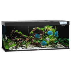 Juwel Aquarium Rio 450 Led 151x51x66 Cm - Aquaria - Zwart Ca. 450 L