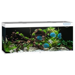 Juwel Aquarium Rio 450 Led 151x51x66 Cm - Aquaria - Wit Ca. 450 L