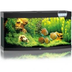 Juwel Aquarium Vision 260 Led 121x46x64 Cm - Aquaria - Zwart Ca. 260 L