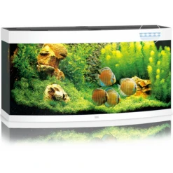 Juwel Aquarium Vision 260 Led 121x46x64 Cm - Aquaria - Wit Ca. 260 L
