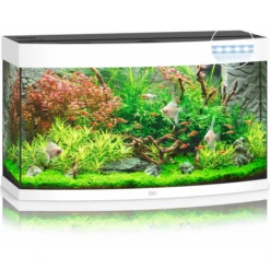 Juwel Aquarium Vision 180 Led 92x41x55 Cm - Aquaria - Wit Ca. 180 L