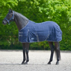 Waldhausen Winter Stal Deken 300 G Marine&Wit - Stalbenodigdheden - 195 Cm