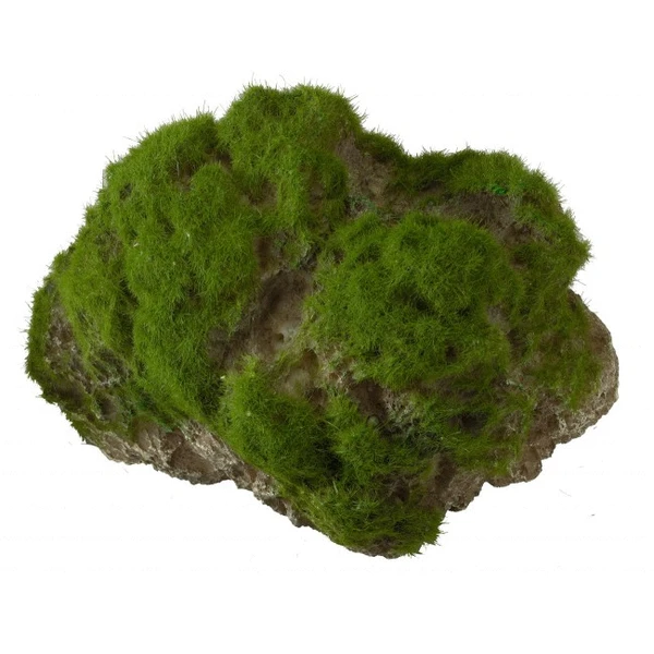Aqua Della Decor Moss Stone Met Zuignap Large - Aquarium - Ornament - 17x11x13.5 Cm 1 Aqua Della Decor Moss Stone Met Zuignap Large - Aquarium - Ornament - 17x11x13.5 Cm
