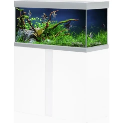Akvastabil Fusion Aquarium 80 - Aquaria - 80x40x49 Cm Zilver Wit Ca. 144 L