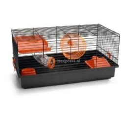 Dieren Nest Verkoopwinkel -Dieren Nest Verkoopwinkel 8712695110729 knaagdierk pigi 1 zwt or 50x28x25 0 300x300 1