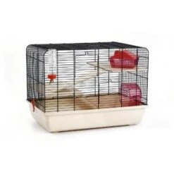 Dieren Nest Verkoopwinkel -Dieren Nest Verkoopwinkel 8712695120254 knaagdierenk rex 2 zwt bge 59x38x43 0 300x300 1
