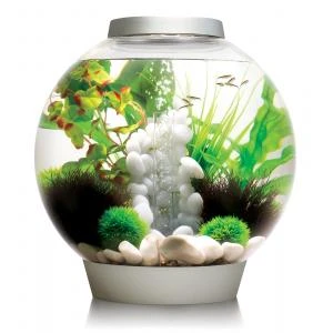 BiOrb Classic Aquarium 60 Liter MCR Zilver 1 BiOrb Classic Aquarium 60 Liter MCR Zilver