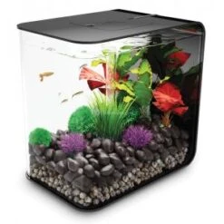 BiOrb Flow Aquarium 30 Liter MCR Zwart