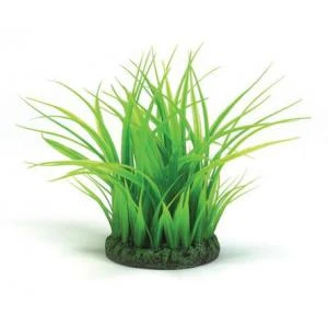 BiOrb Grasring Klein Groen Aquarium Decoratie 2 BiOrb Grasring Klein Groen Aquarium Decoratie - Afbeelding 2