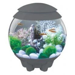BiOrb Halo Aquarium 15 Liter MCR Grijs