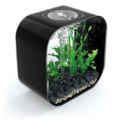 BiOrb Life Aquarium 30 Liter MCR Zwart -Dieren Nest Verkoopwinkel biorb life 30 mcr aquarium zwart 45827 0 300x300 1