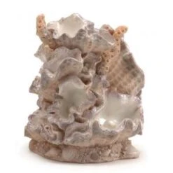 BiOrb Ornament Mossel Klein Aquarium Decoratie