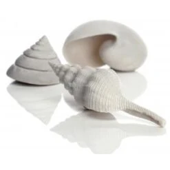 BiOrb Schelp Set 3 Wit Aquarium Decoratie