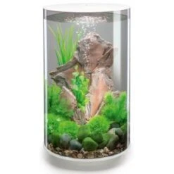 BiOrb Tube Aquarium 30 Liter MCR Wit