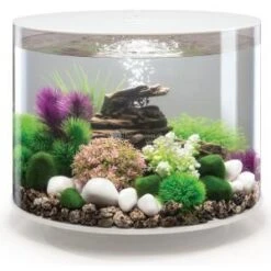 BiOrb Tube Aquarium 35 Liter LED Wit