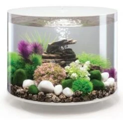 BiOrb Tube Aquarium 35 Liter MCR Wit