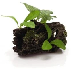 Beeztees Dikke Boomstronk Met Planten Aquarium Decoratie