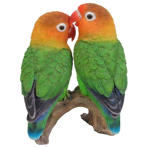 Dwergpapegaaien Koppel 1 Dwergpapegaaien Koppel