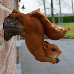 None Eekhoorn Wandvoederschaal