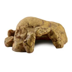 Exo Terra Reptielengrot - XXL