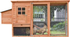Kippenhok Leonie Met Legnest En Uitloopren