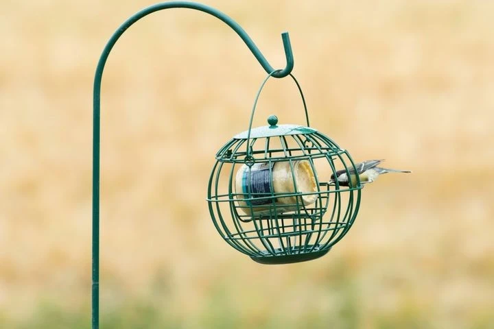 Wildbird Pindakaaspothouder London - Voersilo - 22x22x21 Cm Groen 3 Wildbird Pindakaaspothouder London - Voersilo - 22x22x21 Cm Groen - Afbeelding 3