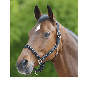 Waldhausen Halster Crystal - Zwart - Cob 2 Waldhausen Halster Crystal - Zwart - Cob - Afbeelding 2