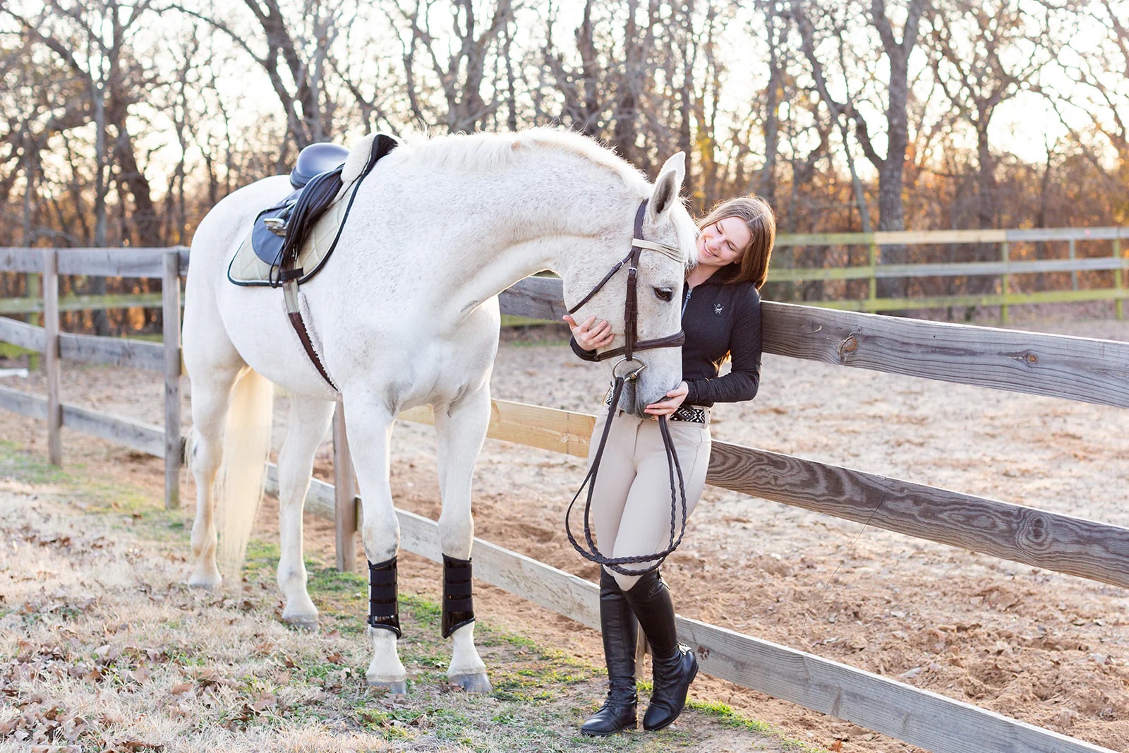 Dieren Nest Verkoopwinkel -Dieren Nest Verkoopwinkel 46987646